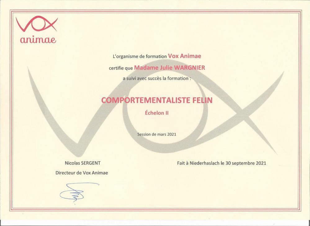 Formation comportementaliste