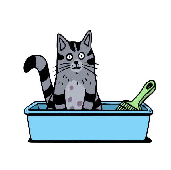 Kitten littertraining 600x598 2