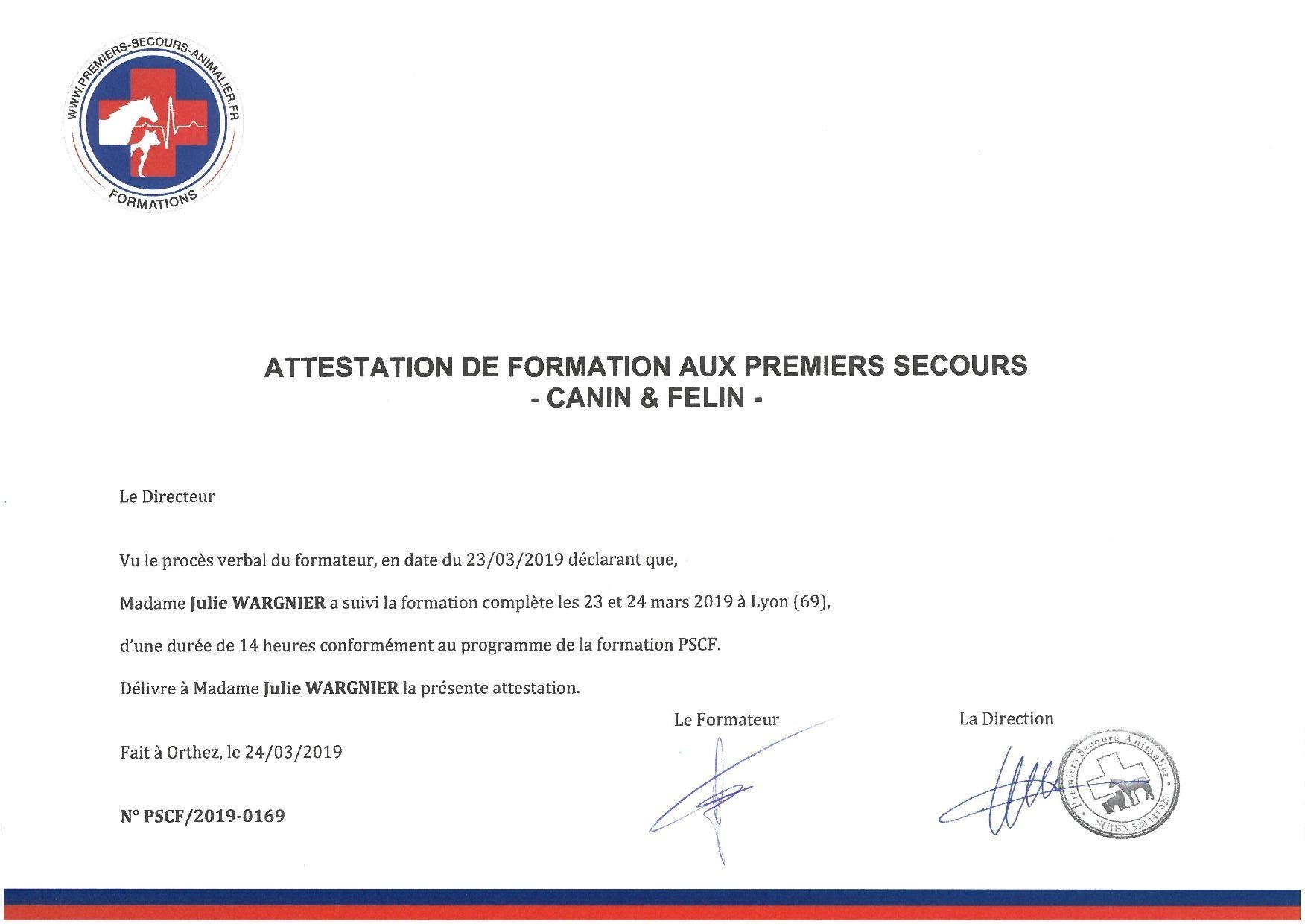 Premiers secours canin felin